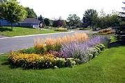 Rain Garden
